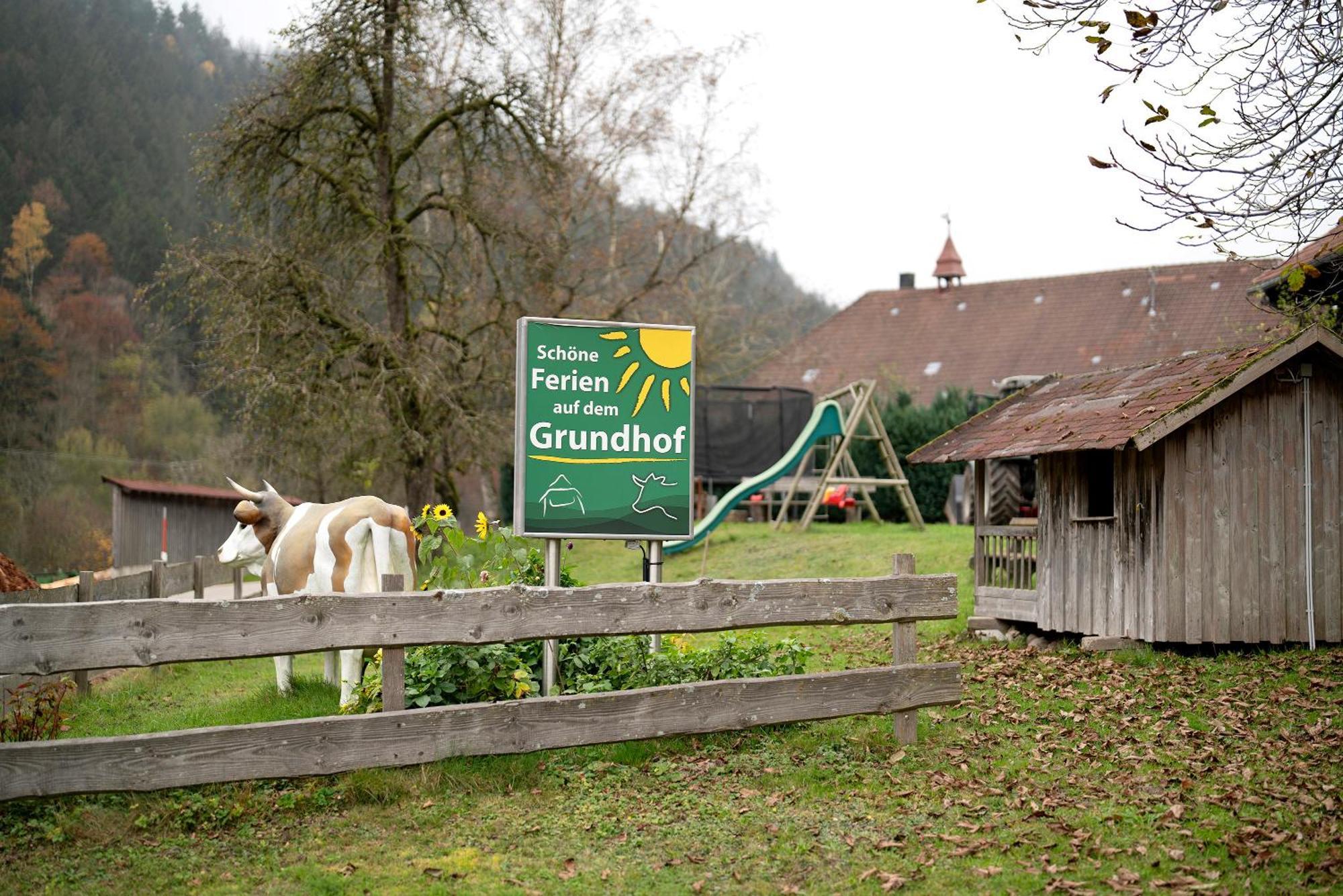 Grundhof Villa Oberprechtal Ngoại thất bức ảnh