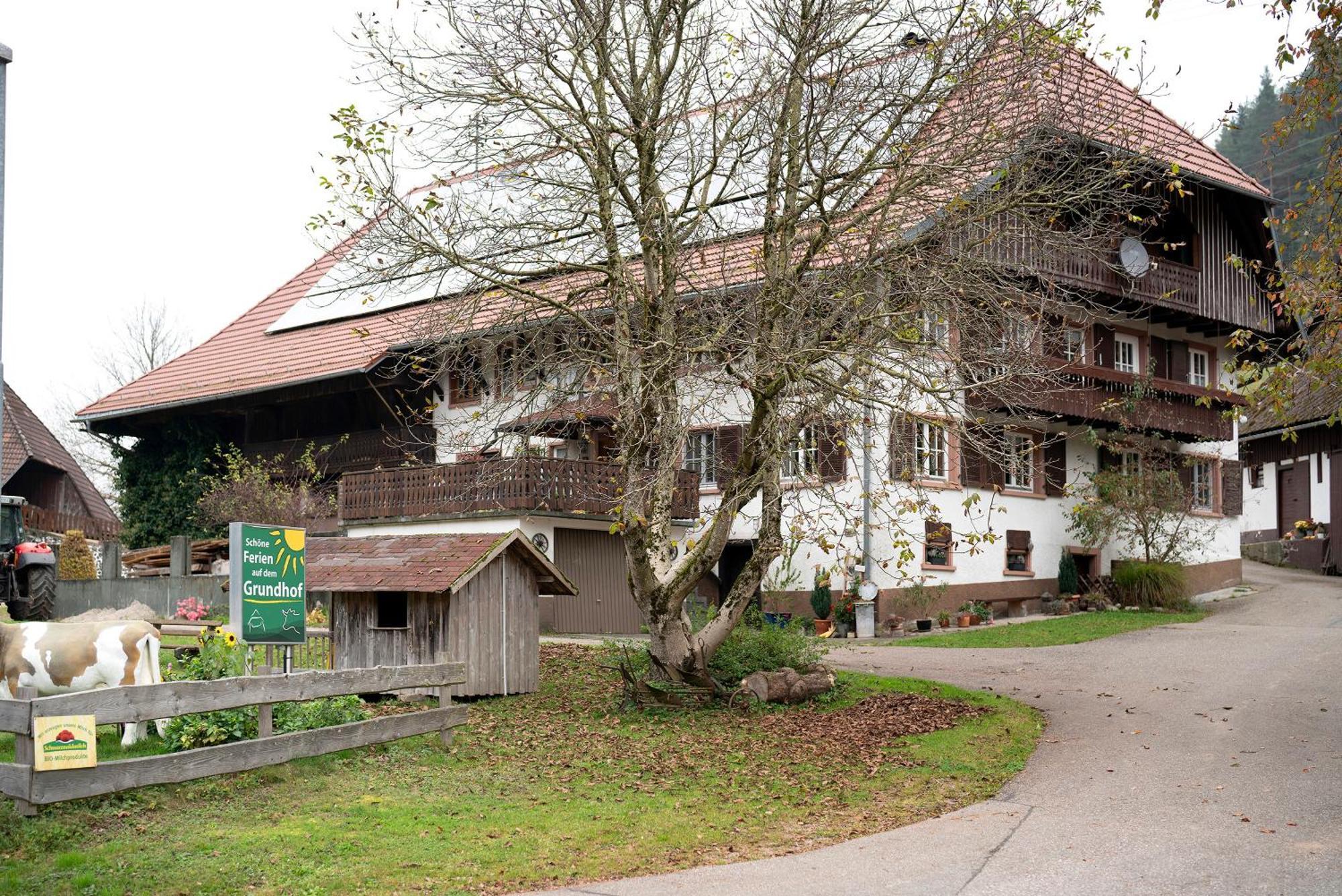 Grundhof Villa Oberprechtal Ngoại thất bức ảnh